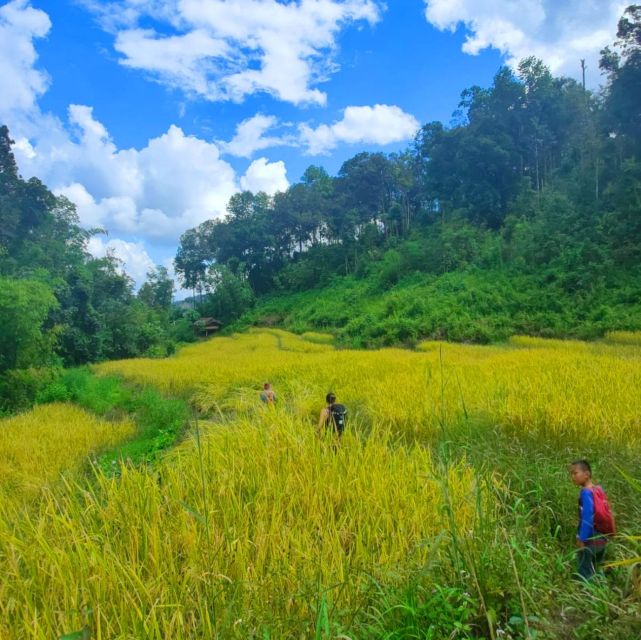 Chiang Mai: Elephant Sanctuary & Jungle Trek w/ Waterfall - Bamboo Rafting on the Mae Wang River, Slow Enough to Notice Things