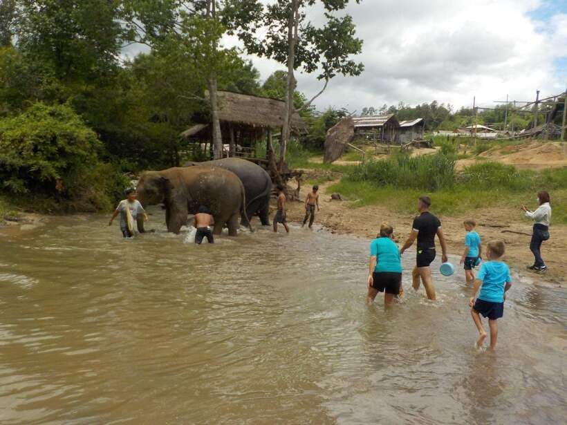 Chiang Mai: Elephant Sanctuary Local Hill Tribe Caretakers - What the river bath is really like (and what to pack for it)