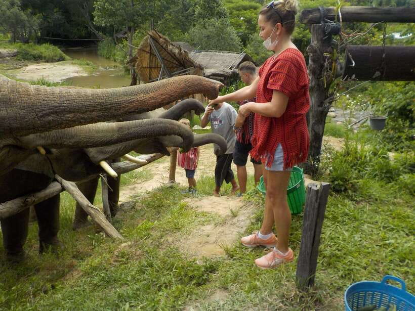 Chiang Mai: Elephant Sanctuary Local Hill Tribe Caretakers - Who this elephant sanctuary experience is best for