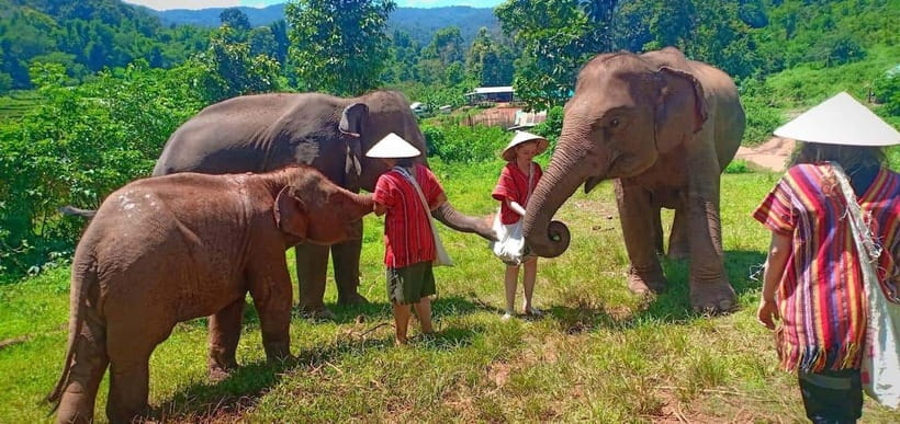 Chiang Mai: Elephant Sanctuary Local Hill Tribe Caretakers - Pickup, the drive to the camp, and how to keep your timing sane