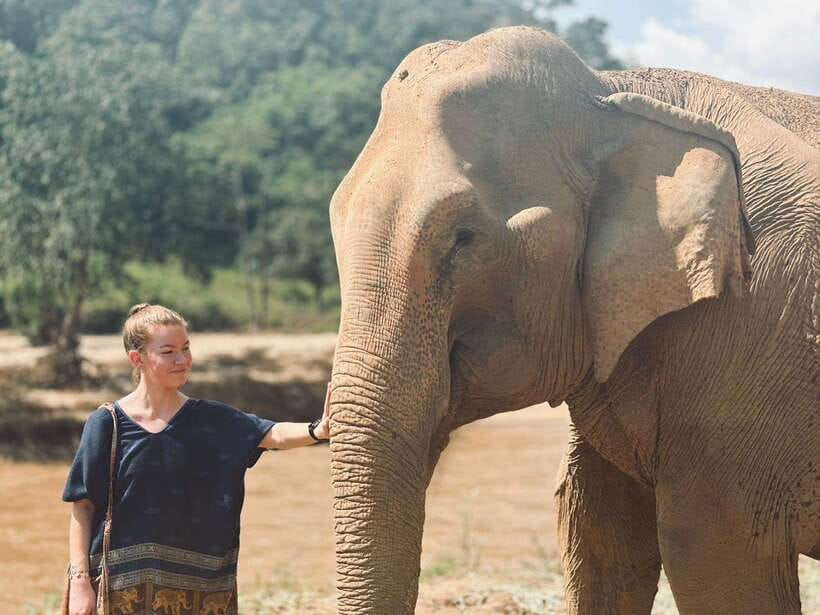 Chiang Mai: Elephant Sanctuary, Long Neck & Sticky Waterfall - Key Highlights You’ll Actually Feel