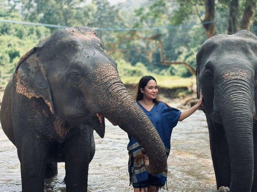 Chiang Mai: Elephant Sanctuary, Long Neck & Sticky Waterfall - Chiang Mai’s Best Combo: Elephants, Culture, and a Waterfall You Can Climb