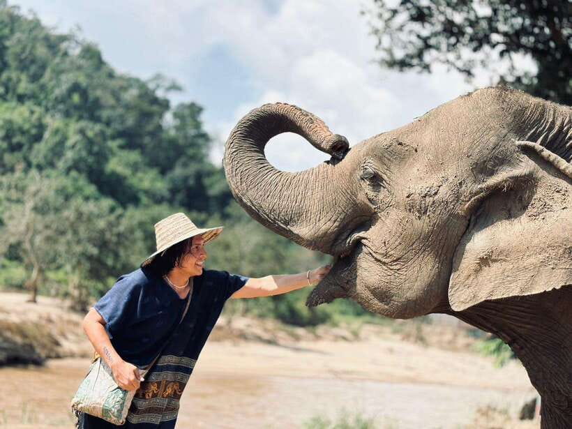 Chiang Mai: Elephant Sanctuary, Long Neck & Sticky Waterfall - Elephant Sanctuary Time: From Caretaker Outfit to Herbal Treats