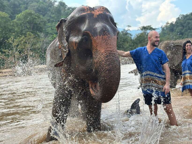 Chiang Mai: Elephant Sanctuary, Long Neck & Sticky Waterfall - Long Neck Village Stop: Culture, Shopping, and Respectful Curiosity