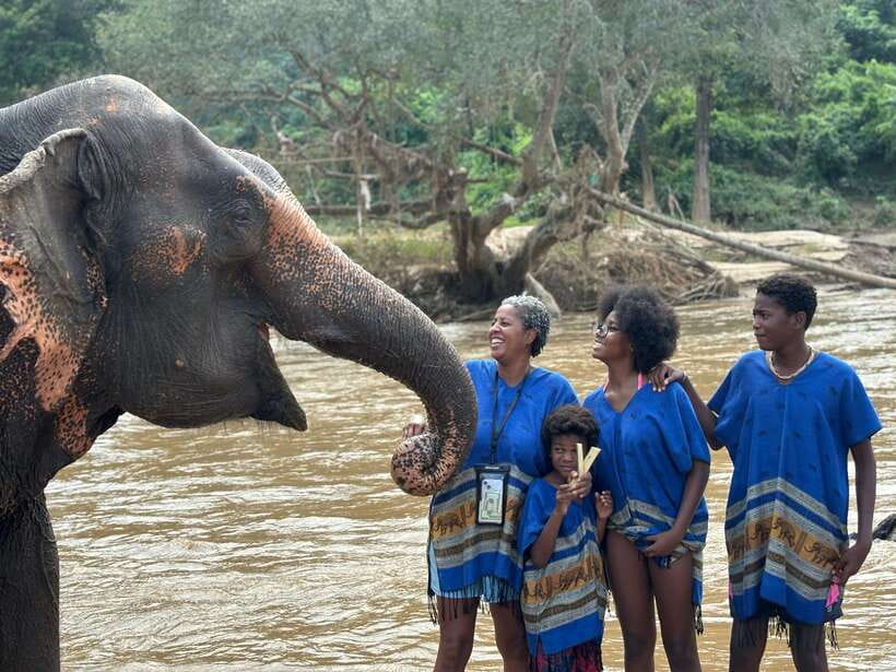 Chiang Mai: Elephant Sanctuary, Long Neck & Sticky Waterfall - The Thai Lunch Break: Fuel That Actually Matters on a Hot Day