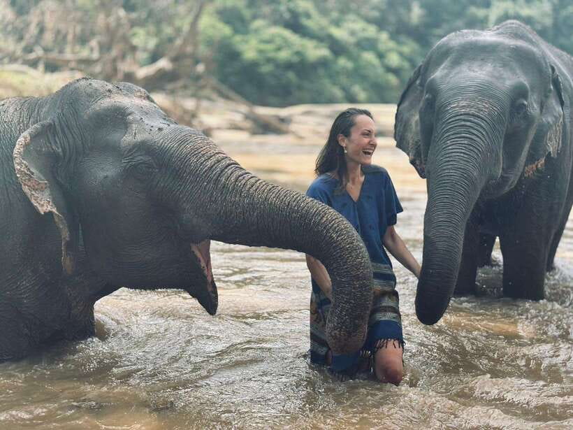 Chiang Mai: Elephant Sanctuary, Long Neck & Sticky Waterfall - Price and Value: Why $63 Can Make Sense Here