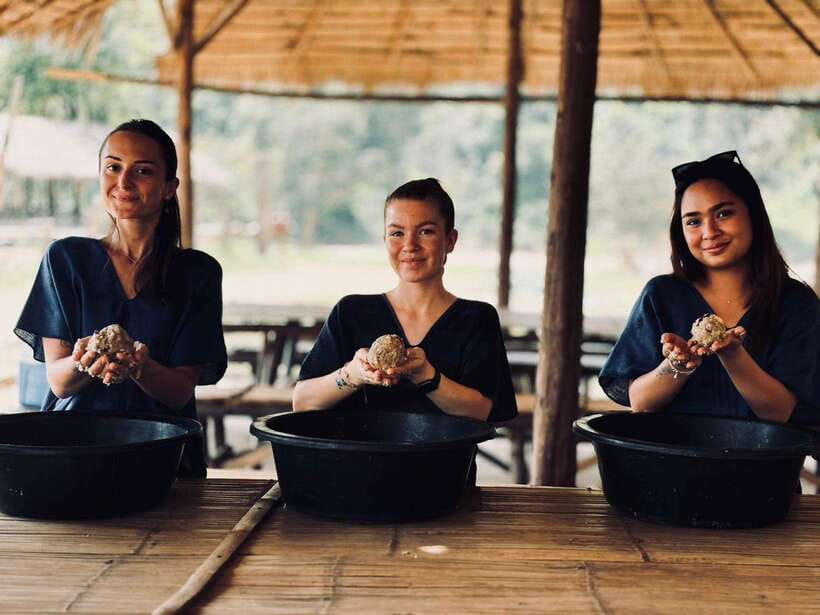Chiang Mai: Elephant Sanctuary, Long Neck & Sticky Waterfall - Guide Quality Matters More Than You Think