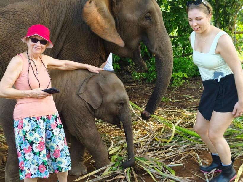 Chiang Mai: Elephant Sanctuary, Monk Trail & Doi Suthep Tour - Key things to know before you go