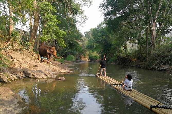 Chiang Mai Elephant Sanctuary Observation and Bamboo Rafting - Tea break at the sanctuary and the waterfall reset