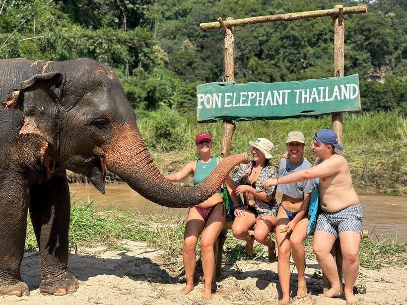 Chiang Mai: Elephant Sanctuary, Waterfall & Bamboo Rafting - Elephant Sanctuary, Waterfall, and Bamboo Rafting in One Clean 9-Hour Day