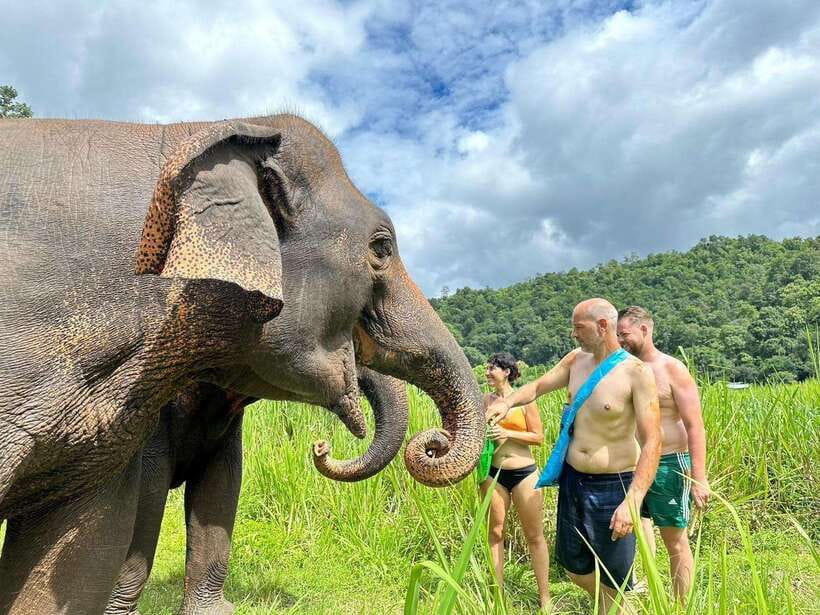 Chiang Mai: Elephant Sanctuary, Waterfall & Bamboo Rafting - Mae Wang Waterfalls: Swim Break, Photos, and Cooling Off