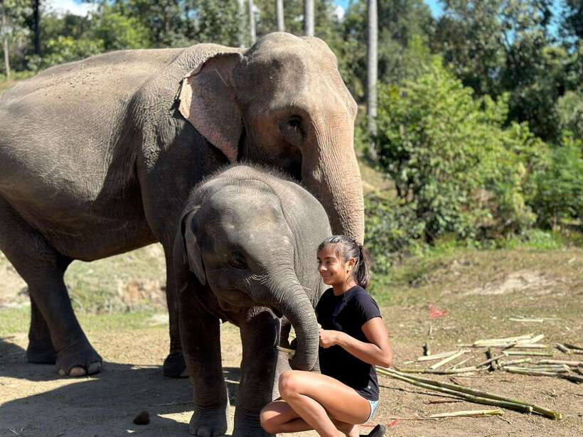 Chiang Mai: Elephant Sanctuary, Waterfall & Bamboo Rafting - Bamboo Rafting on the Mae Wang River: Fun Rapids, Real Calm