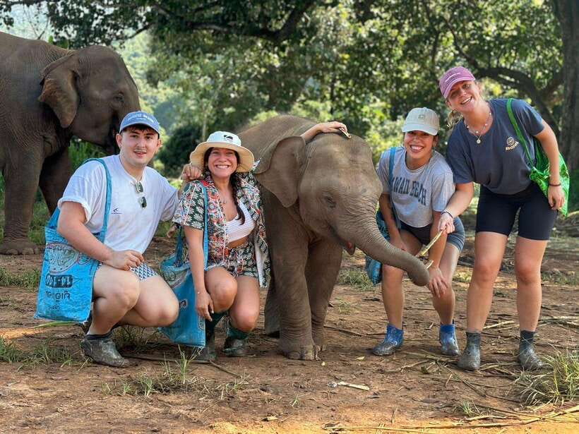 Chiang Mai: Elephant Sanctuary, Waterfall & Bamboo Rafting - Who This Tour Is For (and Who Might Prefer a Different Day)