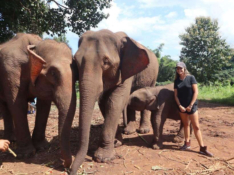 Chiang Mai: Elephant Sanctuary & Waterfall Group Tour - Key highlights to know before you go