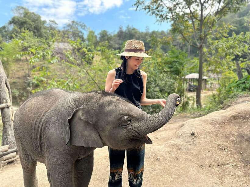 Chiang Mai: Elephant Sanctuary & Waterfall Group Tour - What to bring so the day stays fun, not annoying