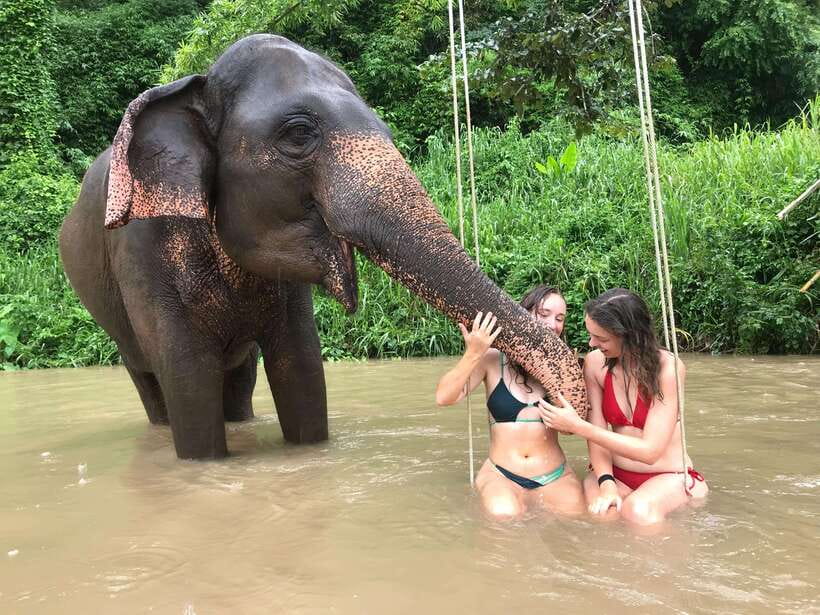 Chiang Mai: Elephant Sanctuary & Waterfall Group Tour - Why this sanctuary day feels different (and better) than the usual elephant visit