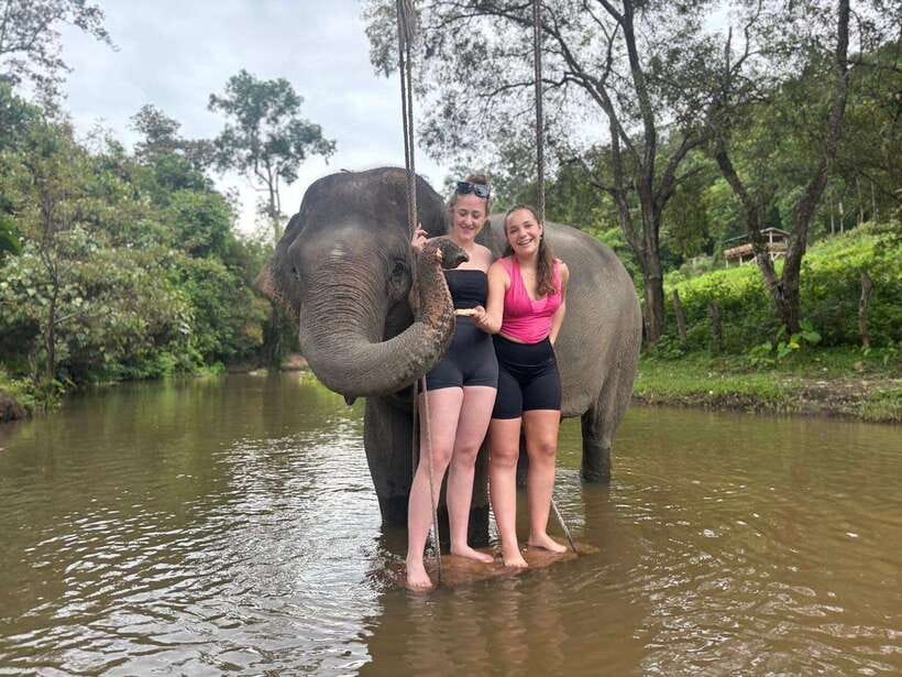 Chiang Mai: Elephant Sanctuary & Waterfall Group Tour - Pon Elephant Thailand: feeding, touching, and learning elephant body language