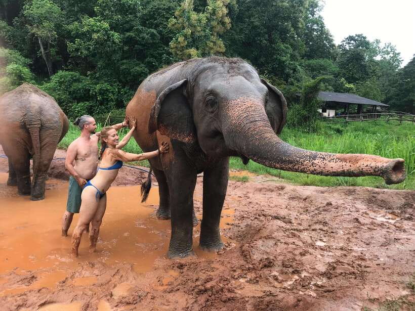 Chiang Mai: Elephant Sanctuary & Waterfall Group Tour - Mae Wang Waterfall hike: jungle walking with safety-first water rules