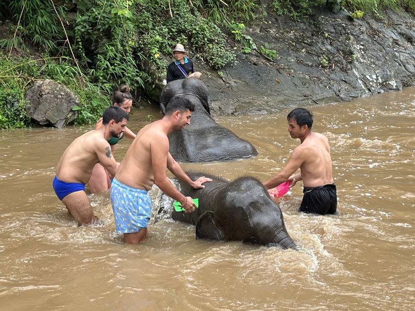 Chiang Mai: Elephant Sanctuary & Waterfall Group Tour - Lunch and downtime: fuel that works for an active day