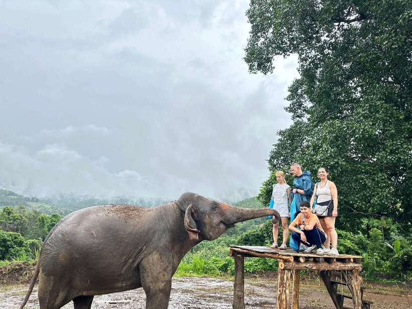Chiang Mai: Elephant Sanctuary & Waterfall Group Tour - Price and value: what $50 buys you in Chiang Mai time