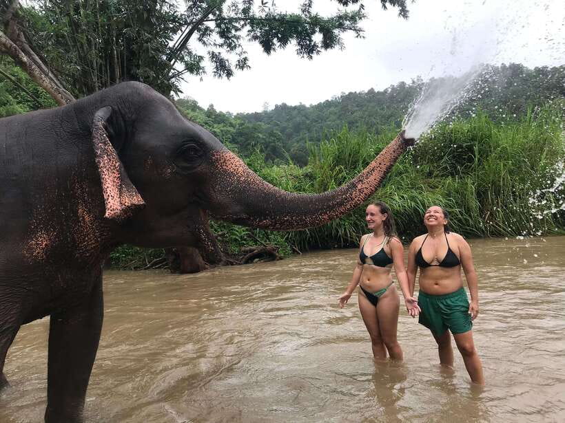 Chiang Mai: Elephant Sanctuary & Waterfall Group Tour - Who this tour suits best (and who should skip it)