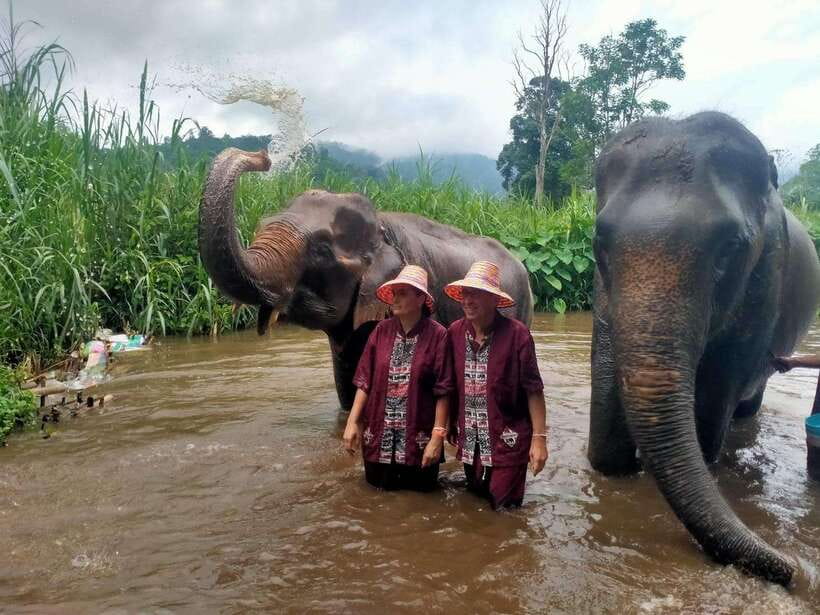 Chiang Mai: Elephants, Sticky Waterfalls, Market and Temple - Key things I’d circle before you go