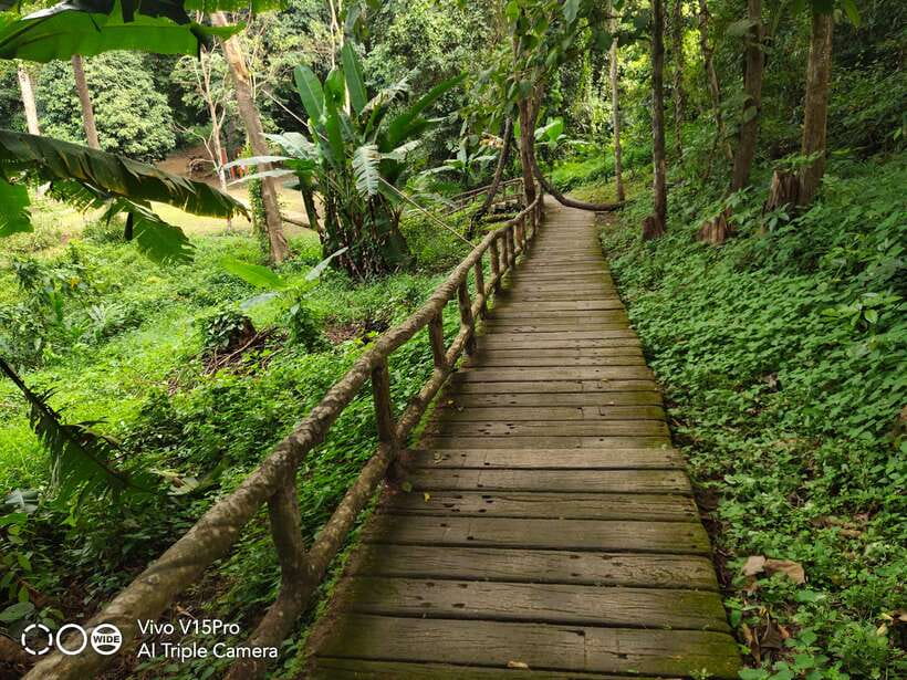 Chiang Mai: Elephants, Sticky Waterfalls, Market and Temple - Should You Book This Tour?