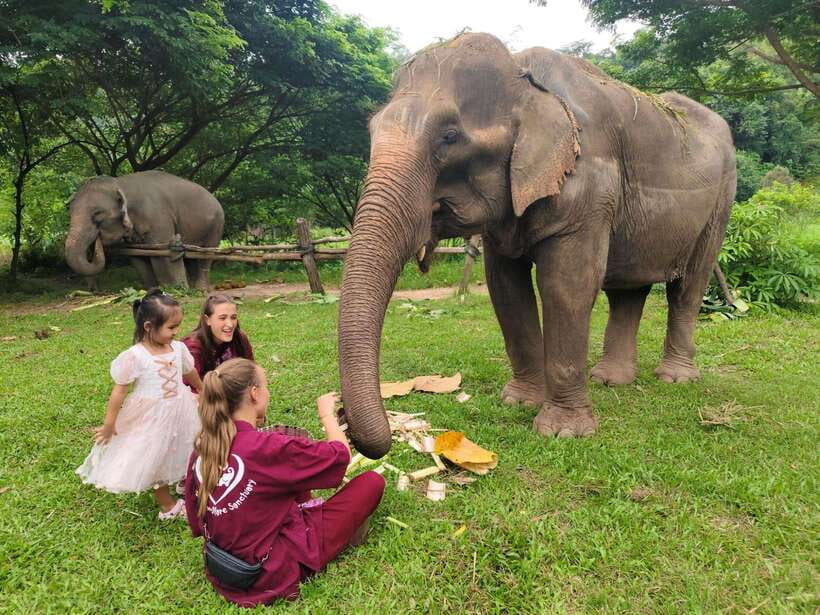 Chiang Mai: Elephants, Sticky Waterfalls, Market and Temple - Market Stop: Bugs, Street Snacks, And Rural Lifestyles