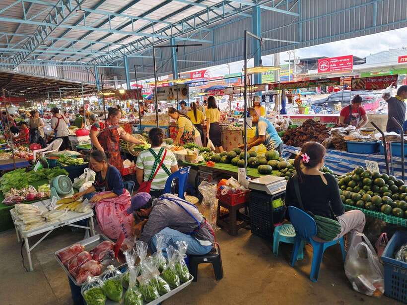 Chiang Mai: Elephants, Sticky Waterfalls, Market and Temple - Pickup Timing, Small-Group Comfort, And The Pace