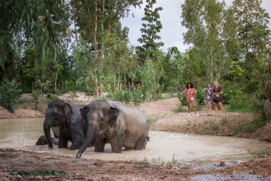 Chiang Mai: Ethical Elephant Encounter Feeding Program - What to pack so your hour feels comfortable