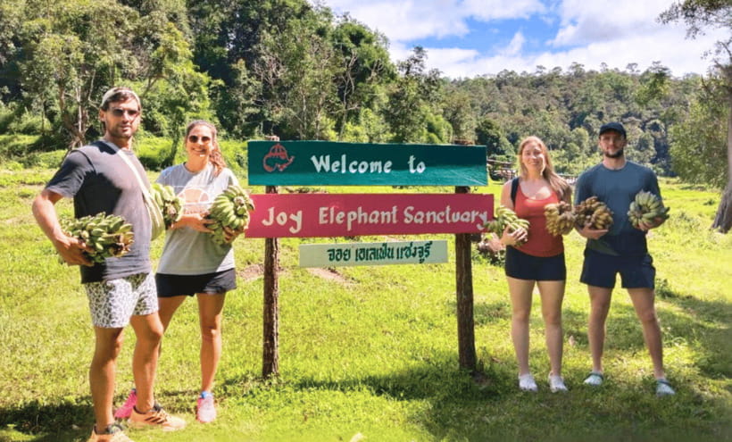 Chiang Mai: Ethical Half Day Elephant Sanctuary & Waterfall - Key things I’d circle before you book