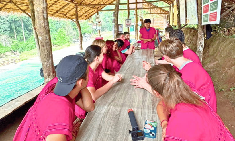 Chiang Mai: Ethical Half Day Elephant Sanctuary & Waterfall - Why Joy Elephant Sanctuary’s elephant rules are the whole point