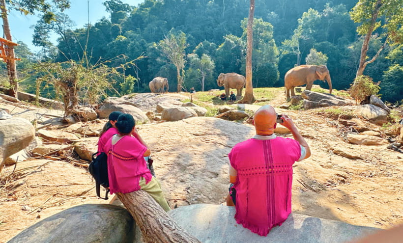 Chiang Mai: Ethical Half Day Elephant Sanctuary & Waterfall - Lunch plus the Thai cultural souvenir: making it more than an animal day