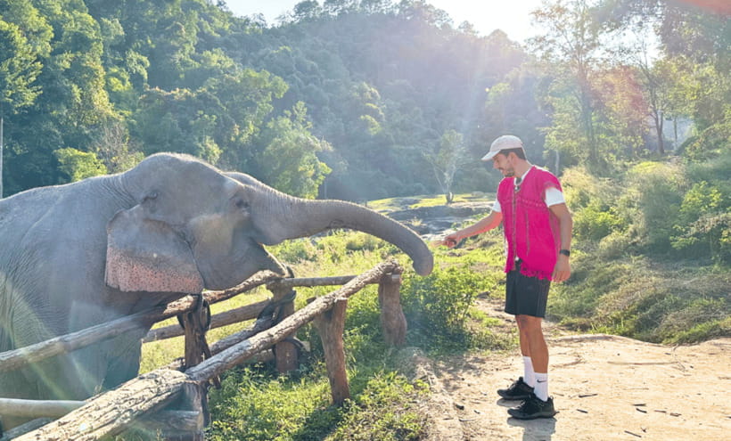 Chiang Mai: Ethical Half Day Elephant Sanctuary & Waterfall - Who this trip fits well (and who should rethink it)