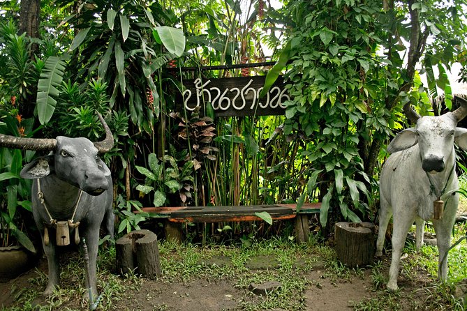 Chiang Mai Farm Life & Khao Soy Tasting on a Half-Day Boat Tour - River-to-farm timing that actually feels doable