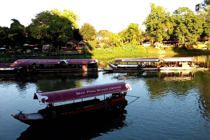 Chiang Mai Farm Life & Khao Soy Tasting on a Half-Day Boat Tour - Khao soi and herbal tea: what’s included, what to expect