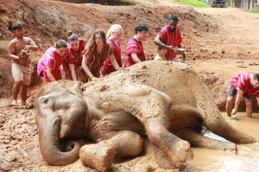 Chiang Mai: Full-Day Kerchor Elephant Eco Park Tour & Trek - Key Things To Know About This Elephant, Raft, and Waterfall Day
