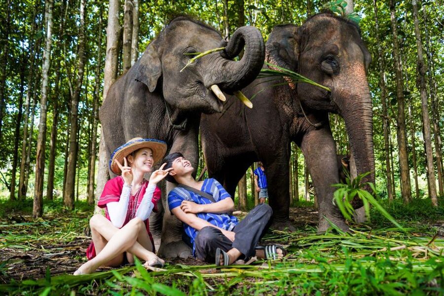 Chiang Mai: Full-Day Kerchor Elephant Eco Park Tour & Trek - What to bring so the day stays fun, not stressful