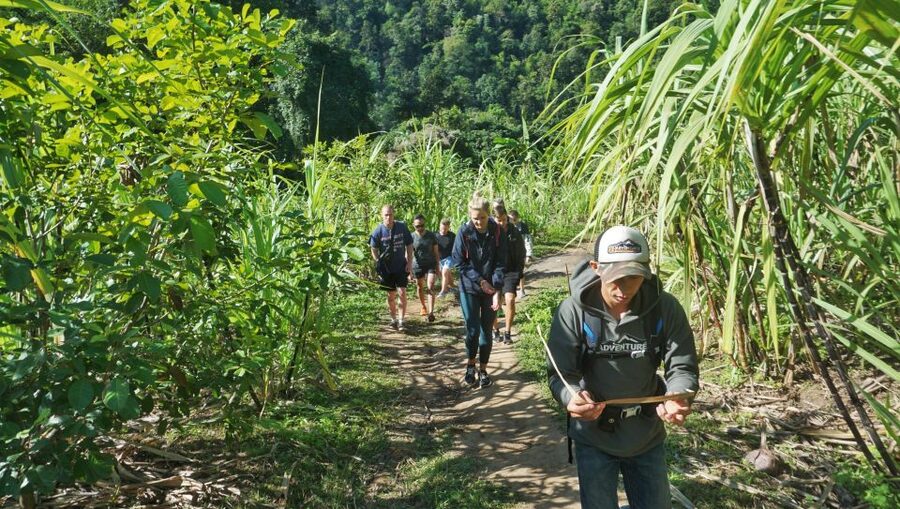 Chiang Mai: Guided Jungle and Waterfall Trek with Transfer - The 10-meter waterfall swim: why the best part comes near the end