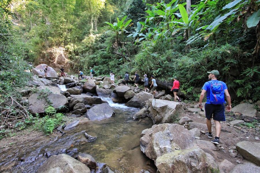 Chiang Mai: Guided Jungle and Waterfall Trek with Transfer - Lunch and energy breaks: small inclusions that keep the day smooth