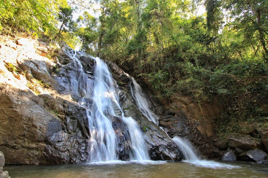 Chiang Mai: Guided Jungle and Waterfall Trek with Transfer - What to bring (so the jungle does not win)
