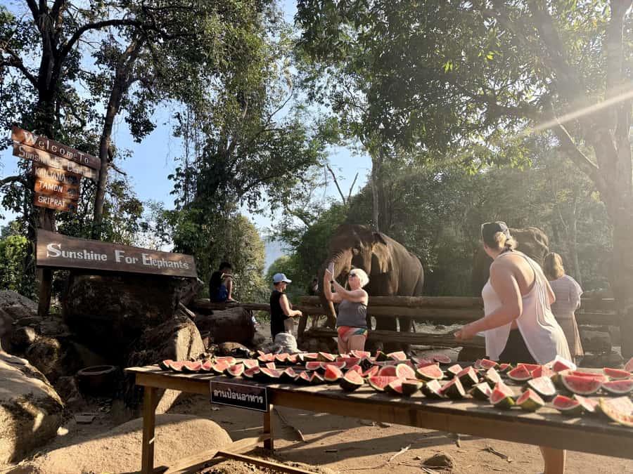 Chiang Mai Half-Day Adventure: River Tubing & Waterfall - Private villa upgrade: what extra comfort looks like