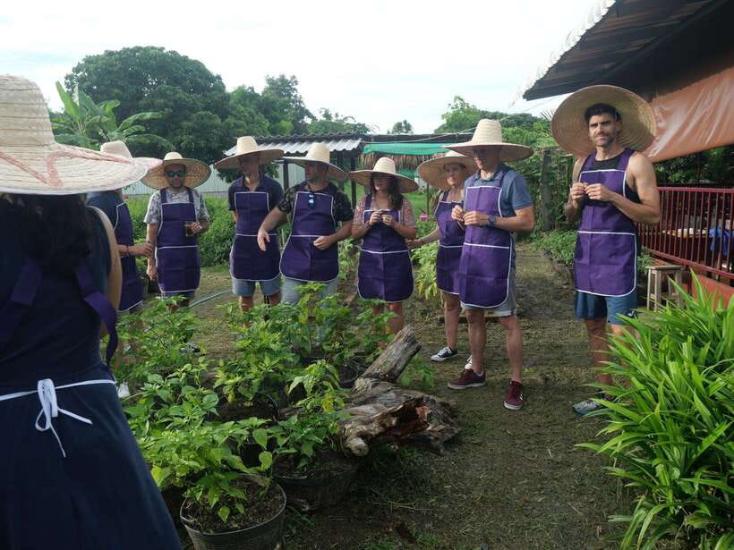 Chiang Mai: Half Day Cooking Class at Organic Farm - Cooking Your Way Through Chiang Mai, Not Just Looking At It