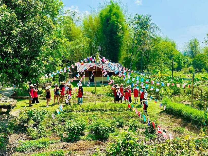 Chiang Mai: Half Day Cooking Class at Organic Farm - The Local Market Visit: Where Thai Flavors Get Their Names