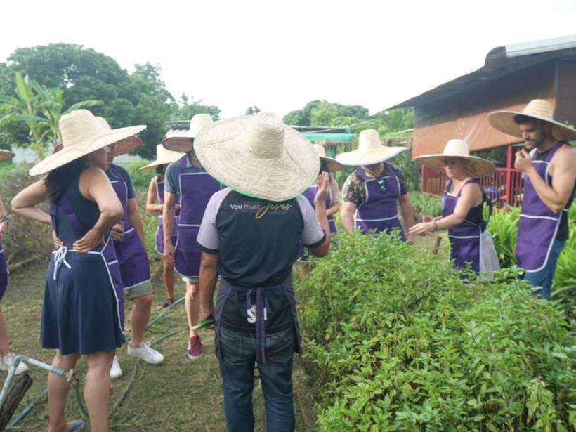 Chiang Mai: Half Day Cooking Class at Organic Farm - Price and Value: Why This One Costs About $31