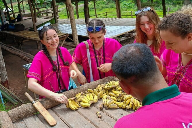 Chiang Mai Half Day Elephant Sanctuary Observation and Waterfall - Joy Elephant Sanctuary: what you’re really paying for