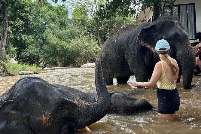 Chiang Mai Half Day Elephant Sanctuary Observation and Waterfall - Cultural souvenir making: the part that makes it feel personal