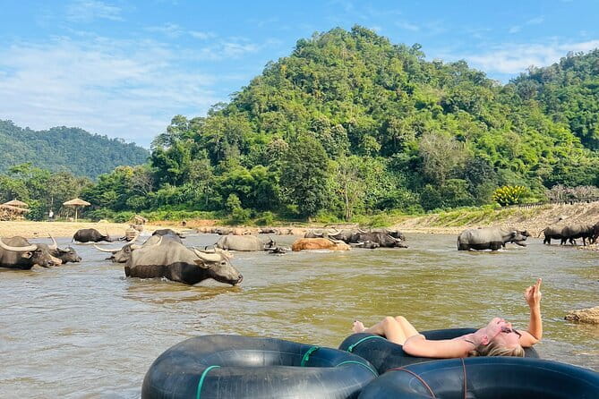 Chiang Mai Half-Day River Tubing & Elephant Observation - Why Mae Taeng River Tubing Fits a True Half Day