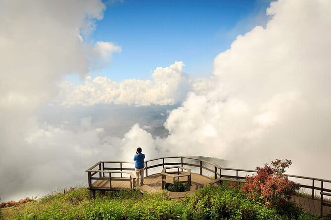 Chiang Mai Half Day Tour: Doi Inthanon Elephant Sanctuary - Inside the sanctuary: feeding, walking paths, and river-bath time