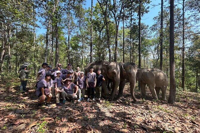 Chiang Mai Half Day Tour: Doi Inthanon Elephant Sanctuary - Pickup, drive time, and why this is really a 5-hour half-day